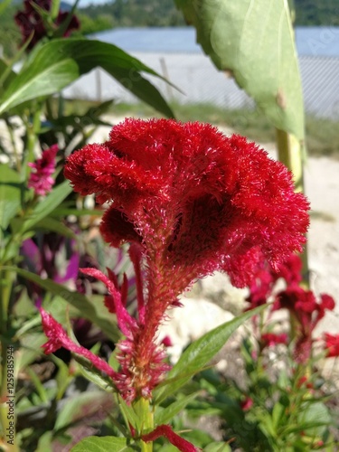 Flor roja exótica