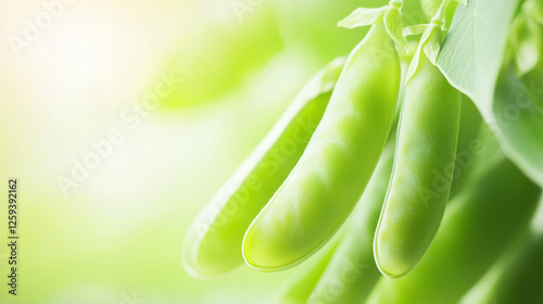 Fresh Green Pea Pods: Three...