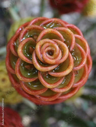 Rocío en flores