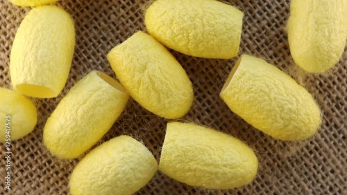 Rotation of yellow silkworm cocoons. Natural silkworm cocoons Top view. Seamless looping.