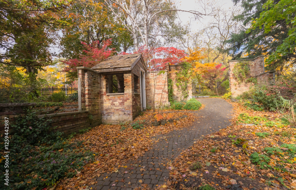 Walking Through The Autumn Garden Walking Through The Autumn Garden