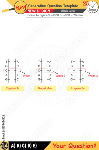 Physics, Physical concepts, High school, middle school, exam question template, numerical lessons, verbal lessons, Next generation problems, for teachers, editable, black layer, eps