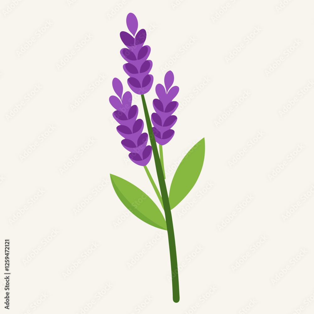 Lavender Sprig Icon with Tall Stem and Flowers Vector Lavender Sprig Icon with Tall Stem and Flowers Vector