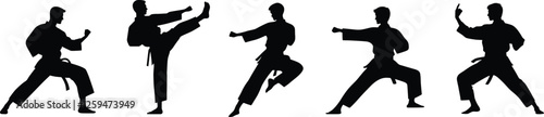 Silhouette Martial Art Vector Illustration