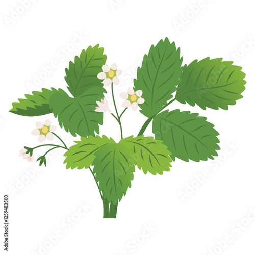 Blooming strawberry shoot. Seedlings for the garden. Farm plantings. Home gardening. Growing vegetables and garden plants. Vector illustration isolated on a transparent background.