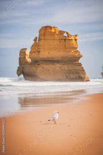 Gibson Steps along the Great Ocean Road, Melbourne, Australia