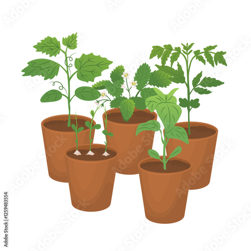 Shoots of different garden plants in pots. Seedlings for the vegetable garden. Farm plantings. Home gardening. Growing vegetables. Vector illustration isolated on a transparent background.