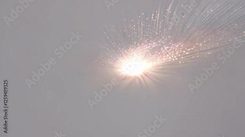 Abstract Light Burst