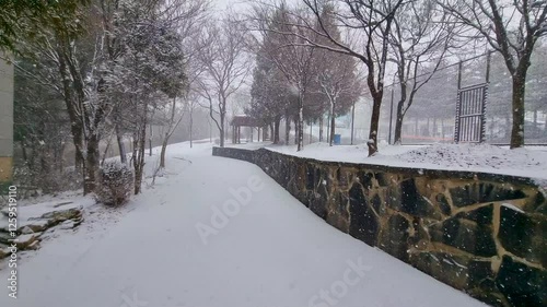 Scenery of a quiet park on a heavy snowfall day