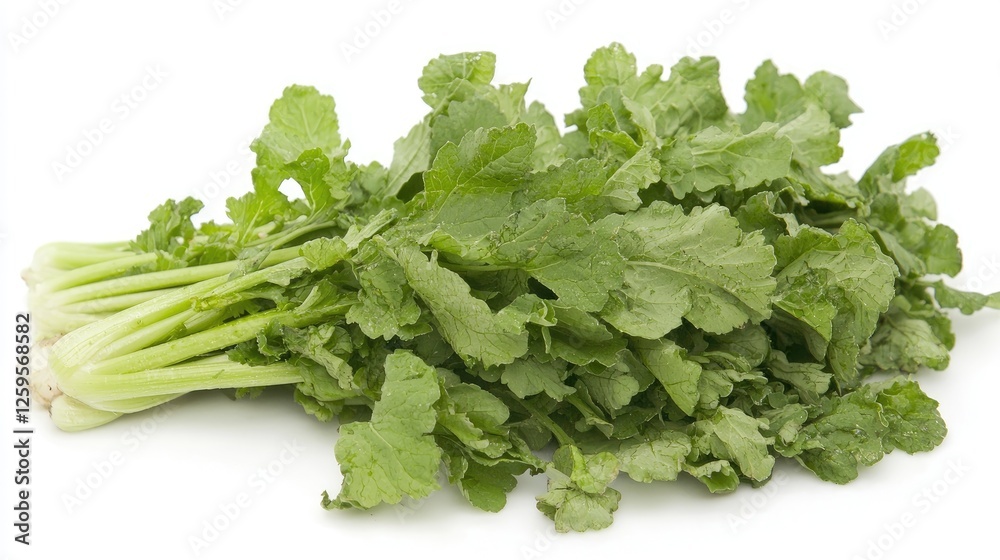 Fresh green leafy vegetables arranged neatly on a white background, ideal for healthy cooking Fresh green leafy vegetables arranged neatly on a white background, ideal for healthy cooking