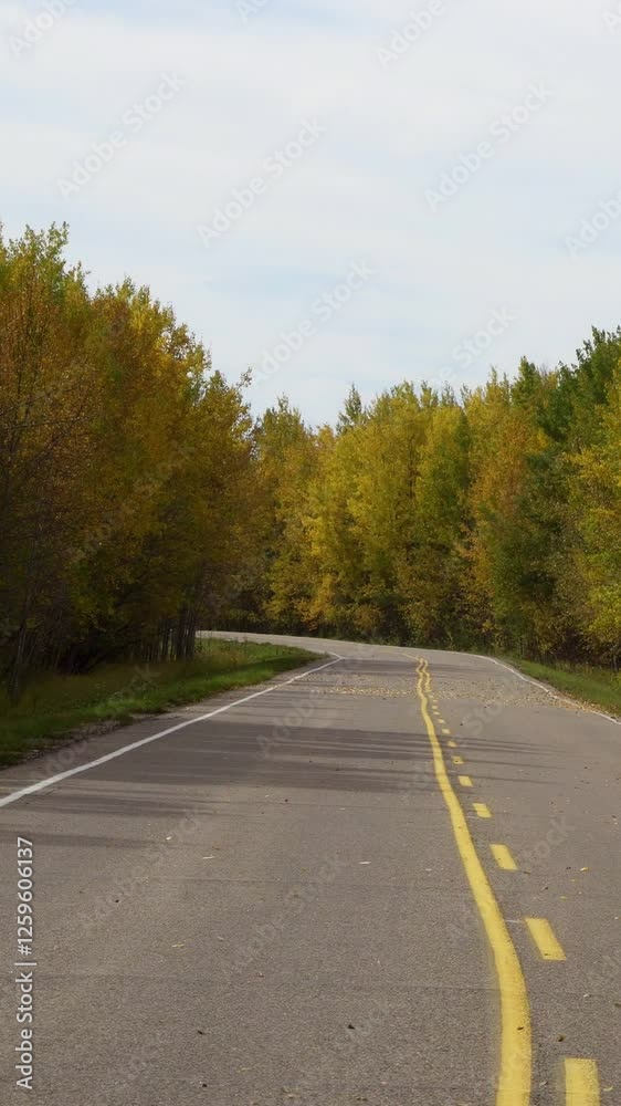 4K Vertical Video of Canadian Nature in Autumn
4K Vertical Video of Canadian Nature in Autumn