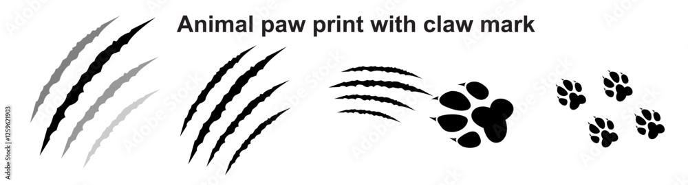Animal paw claws scratches. Claw marks, dangerous or tiger and cat animals scratch. Damaged paper tracks, danger halloween monster vector wild werewolf shred illustration vector 