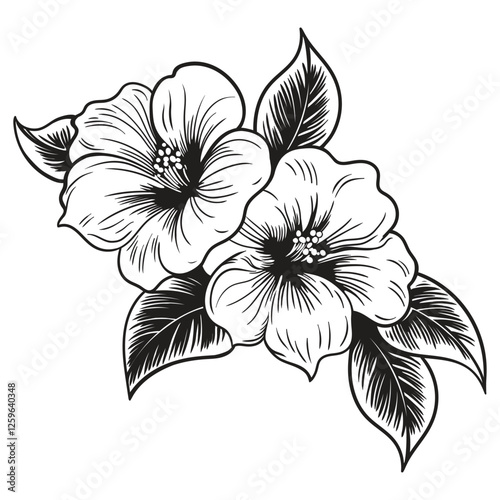 Garden flower. Linear vector drawing isolated on a white background.