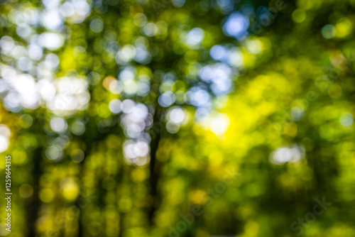 Blurred greenery leaves of tree forest. Selective focus. Fresh green background for summer design. Green bokeh nature background. Green bokeh. Blurred nature bokeh for the background.
