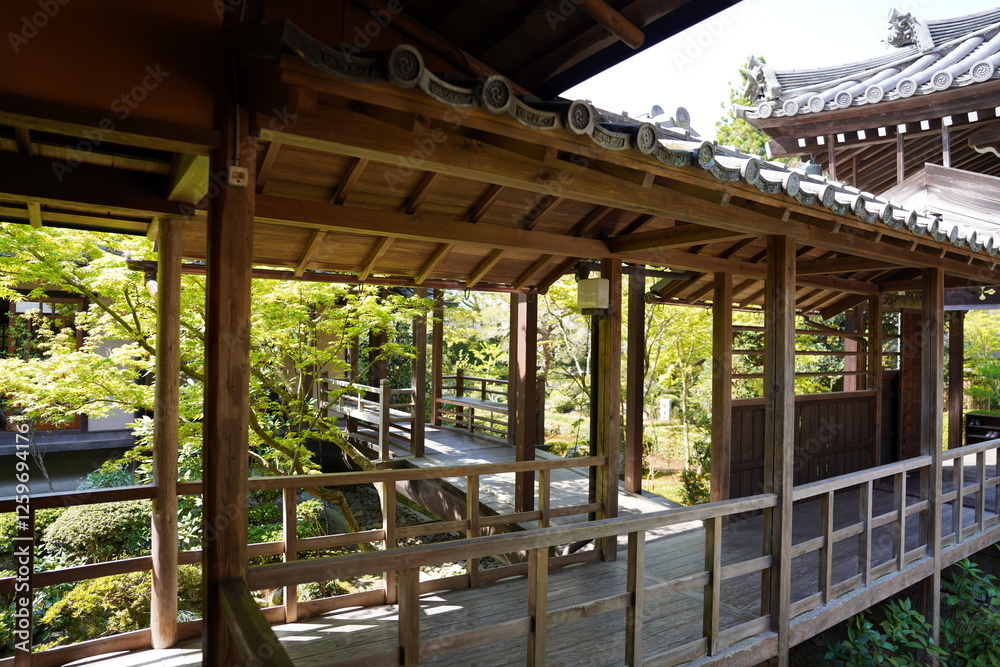 京都府京都市に鎮座する神社仏閣と庭園
