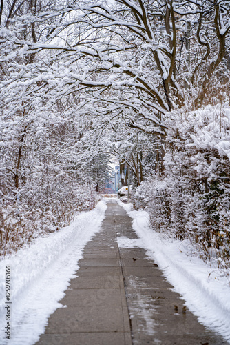 Canvas Print Snow-covered winter view of Toronto Islands.