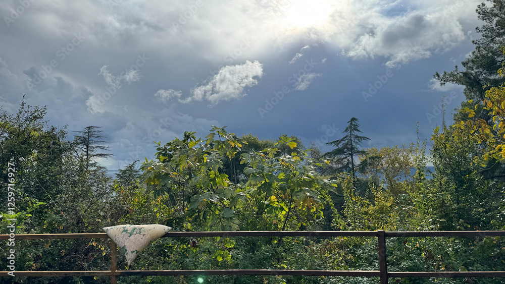 Fototapeta premium A weathered railing holds a patterned pillow against a backdrop of dense foliage and a dramatic sky. Sunlight filters through gathering clouds, highlighting the contrast between lush greenery and the 