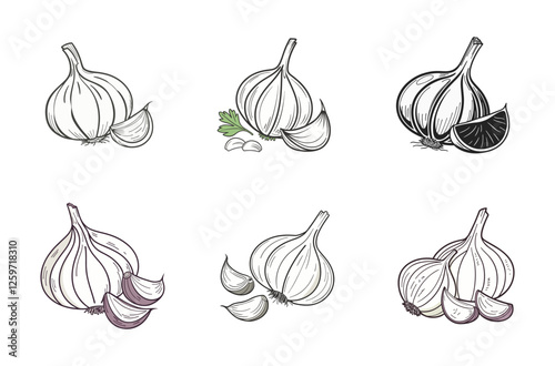 Monochrome and Colored Garlic Sketches  Vector Set
