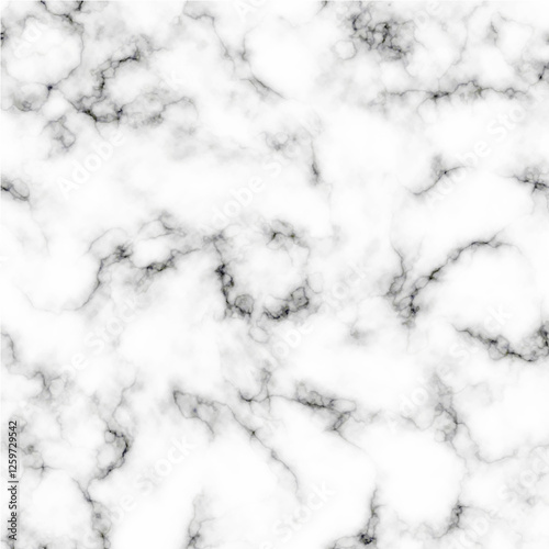 Vector white and black marble texture and background.