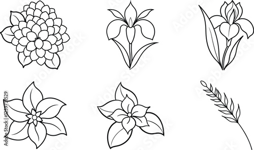 Simple Line Drawings of Flowers Hydrangea, Iris, Poinsettia, Wheat