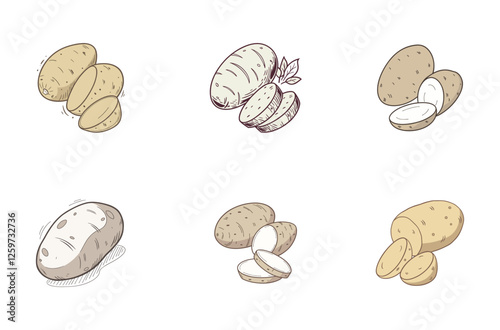"Hand-Drawn Potato Vector Illustration Set"
