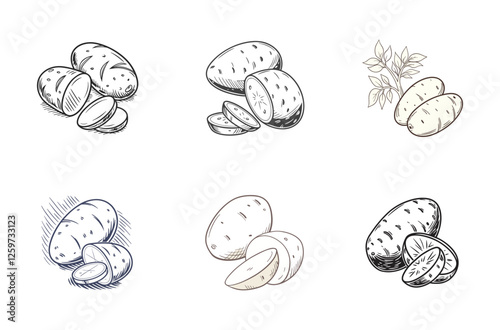 "Hand-Drawn Potato Vector Illustration Set"
