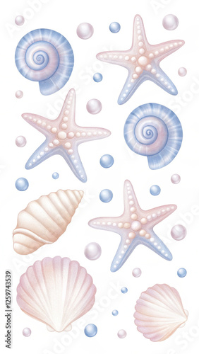 sea shells and starfish
