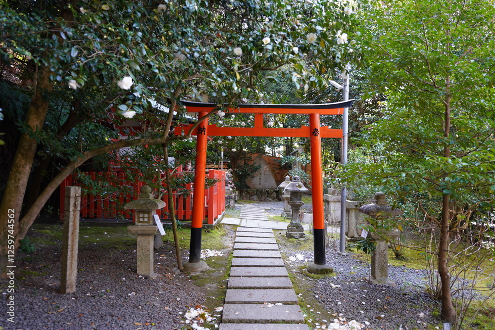 京都府に鎮座する神社仏閣と庭園など 京都府に鎮座する神社仏閣と庭園など
