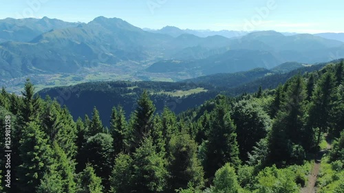 Green mountains, coniferous forest, sunny day, Rovetta, Lombardy in Italy. Aerial forward and panoramic view photo