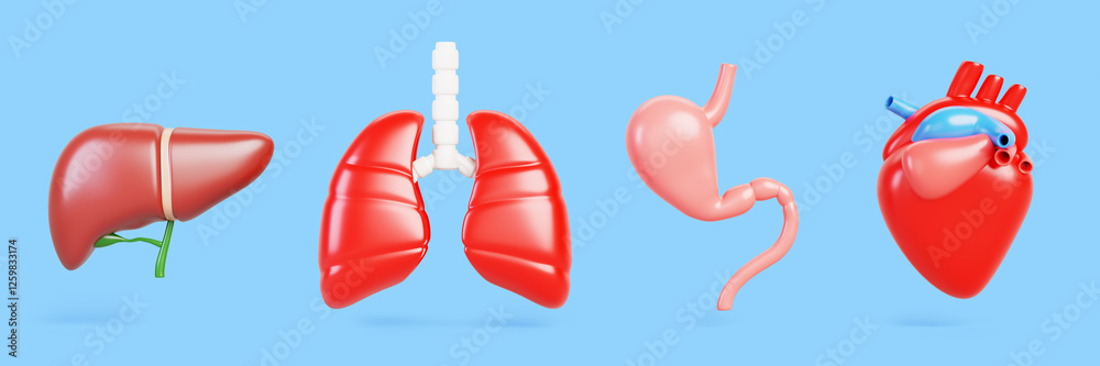 3d set of human internal organs, heart, liver, lungs and stomach isolated on blue background. Realistic body anatomy, concept of health, medical and education. Cartoon render icon. 3D illustration 3d set of human internal organs, heart, liver, lungs and stomach isolated on blue background. Realistic body anatomy, concept of health, medical and education. Cartoon render icon. 3D illustration