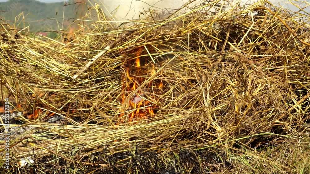 Close-up of a burning haystack in a field with bright flames . straw bales in the field . Close-up of a burning haystack in a field with bright flames . straw bales in the field .