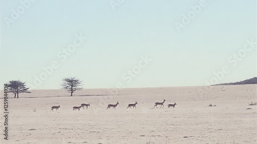 Vast minimalist landscape of an arid desert savanna with a herd of grazing antelopes silhouetted against the horizon  Peaceful photo