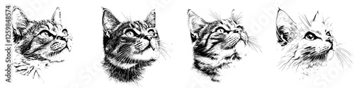 Different artistic interpretations of cats' faces in black and white drawings at an art exhibit