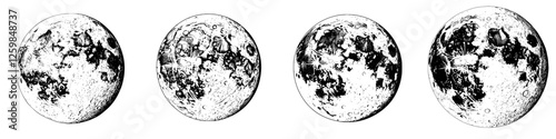 Different phases of the moon illustrating the lunar cycle in a clear monochromatic style