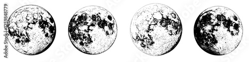 Phases of the moon displayed in a detailed illustration capturing their unique features and textures throughout the lunar cycle