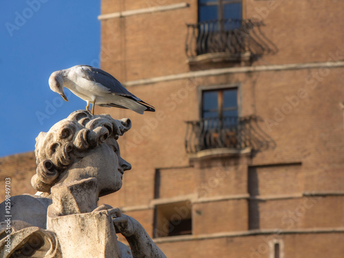 Canvas Print seagull on statue of angel in rome