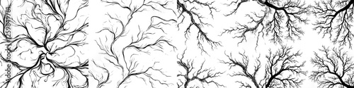Intricate black and white illustration of branching patterns resembling tree limbs and neural networks