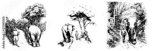 Detailed hand-drawn vector illustration showcasing elephants in a forest setting with explorers observing in a natural habitat
