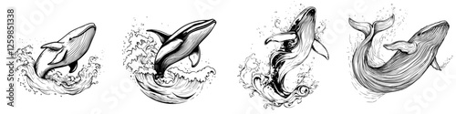 Vector illustration of jumping whales in hand-drawn style showing ocean life and movement