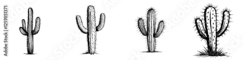 Hand-drawn vector illustration of various cacti in a desert setting, showcasing unique forms and characteristics of these plants