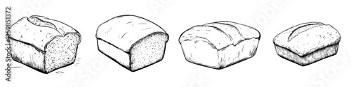 Hand-drawn vector illustration of different loaf bread types showcasing unique shapes and textures