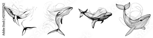 Illustration of whales swimming gracefully through the ocean in a hand-drawn vector style with flowing lines and dynamic movement