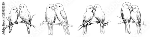 Hand-drawn vector illustration of two pairs of lovebirds perched on branches, displaying affection and companionship