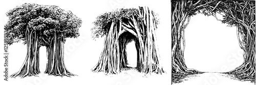 Hand-drawn vector illustration of interconnected trees forming an archway in a serene forest setting