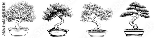 Bonsai trees displayed in various artistic styles in hand-drawn vector illustration