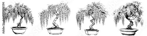 Vector illustration of hand-drawn bonsai trees showcasing different styles and shapes in a minimalist design focused on nature