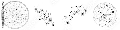 Hand-drawn vector illustration of constellations and celestial patterns in black and white with intricate details