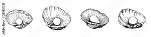 Hand-drawn vector illustration of shells with pearls in various stages of opening, showcasing nature's beauty and treasures