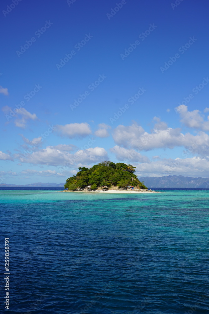 Fototapeta premium Tropical beach with coconut palm trees and sea on the island Palawan at the Philippines