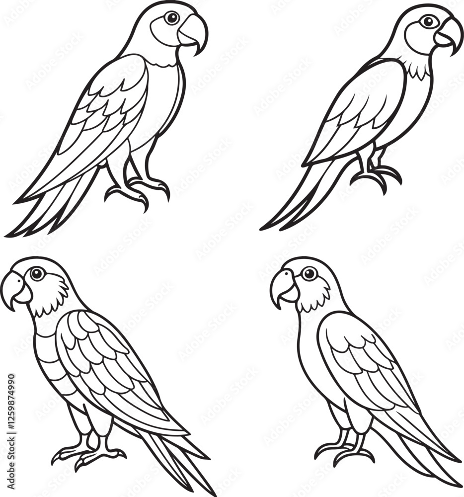 4 set line art parrot image set illustration 4 set line art parrot image set illustration